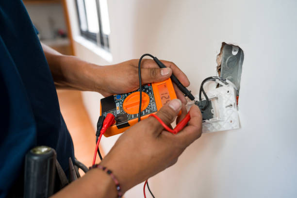 Best Residential Electrician Services  in Allen Park, MI