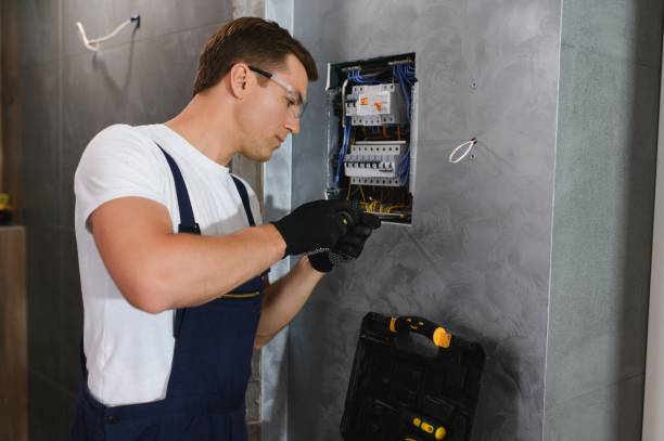 Best Outdoor Lighting Installation  in Allen Park, MI