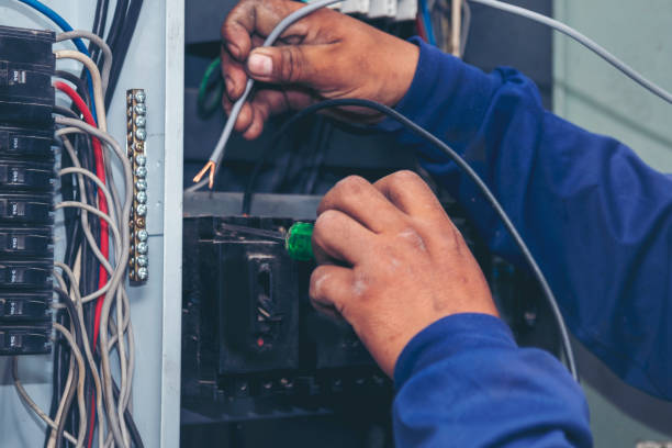 Best Local Electrician Companies  in Allen Park, MI
